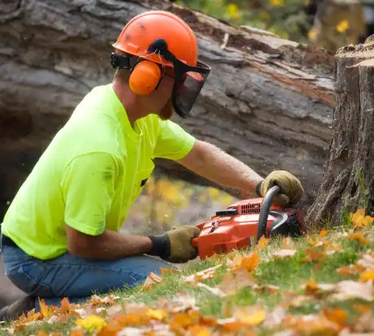 tree services Iron River